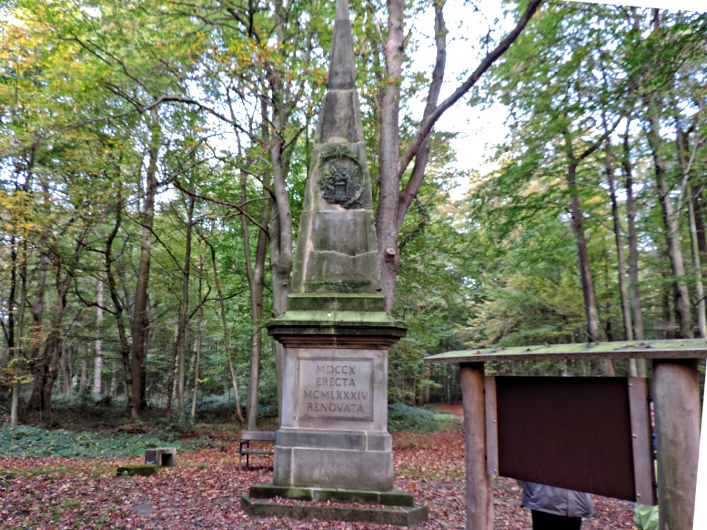 Holtingstuhle [11613] 19-okt-2014 (Bentheimerwald, Bad Bentheim).jpg - Holtingstuhle